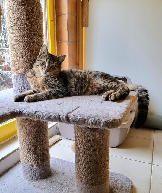 Schröder | Foto: Sabine Pollok