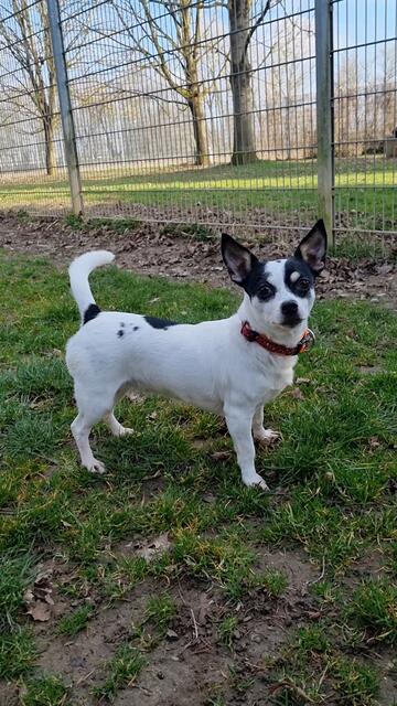 Bonny | Foto: Sabine Pollok