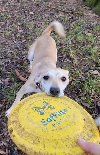 Lana | Foto: Sabine Pollok