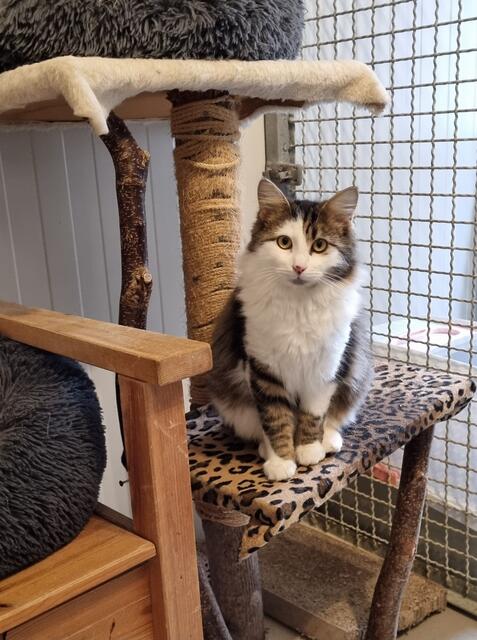 Kasimir | Foto: Sabine Pollok