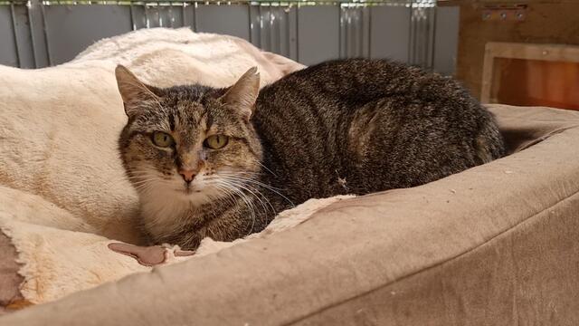 Granny | Foto: Sabine Pollok