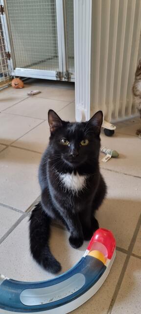 Thalia | Foto: Sabine Pollok