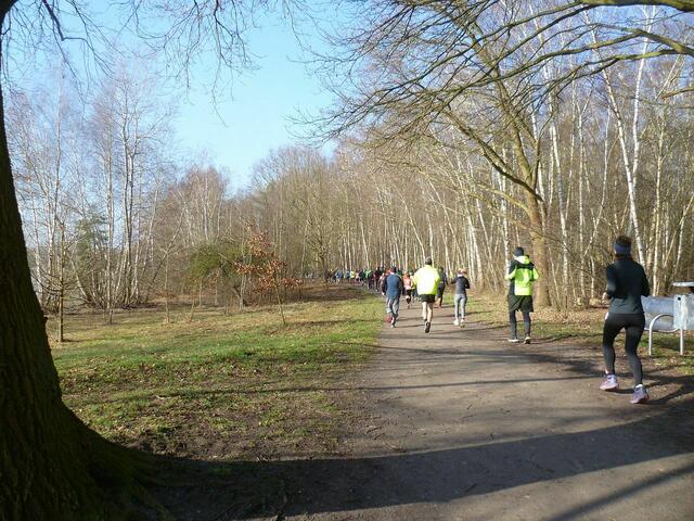 10,8 km: Der Birkenwald bietet ein reizvolles Bild.
