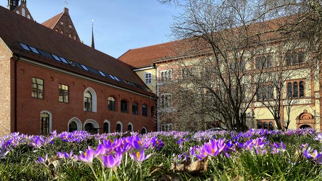 Krokusteppich vor dem Fürstenhof (altes und neues Gebäude). Foto: Helmut Kuzina