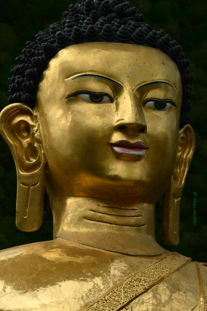 Bremen entdecken (Foto: Katja Woidtke)

Quer durch Asiens Flora in der botanika - Friedens-Buddha | Foto: Katja Woidtke