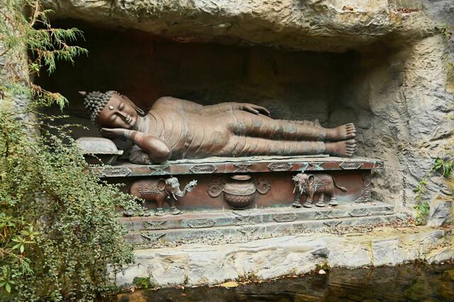 Bremen entdecken (Foto: Katja Woidtke)

Quer durch Asiens Flora in der botanika - Nirvana-Buddha | Foto: Katja Woidtke