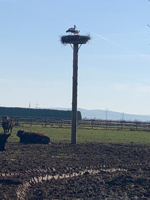 Das Ei schön warm halten.