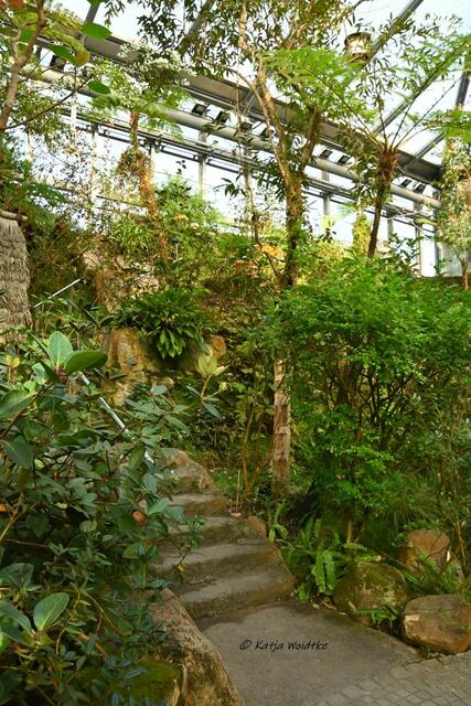 Bremen entdecken (Foto: Katja Woidtke)

Quer durch Asiens Flora in der botanika - in den Nebelwäldern Borneos | Foto: Katja Woidtke