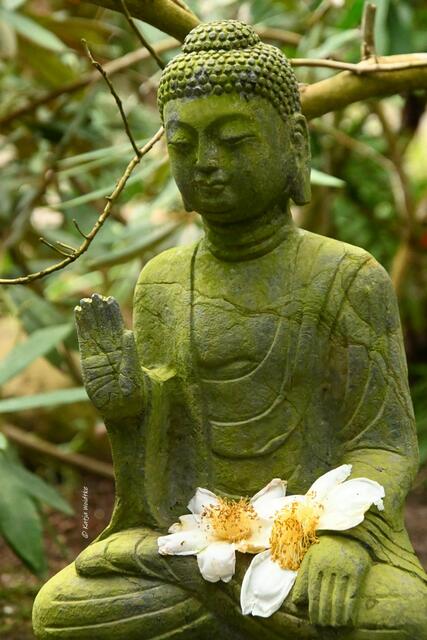 Bremen entdecken (Foto: Katja Woidtke)

Quer durch Asiens Flora in der botanika | Foto: Katja Woidtke