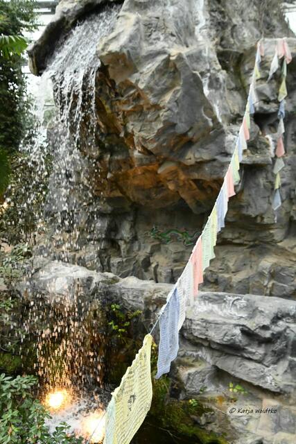 Bremen entdecken (Foto: Katja Woidtke)

Quer durch Asiens Flora in der botanika - Wasserfall im Himalaya | Foto: Katja Woidtke
