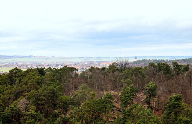 Blick vom Gläsernen Mönch auf Halberstadt