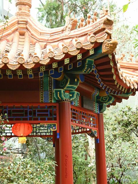 Bremen entdecken (Foto: Katja Woidtke)

Quer durch Asiens Flora in der botanika - Chinesischer Pavillon | Foto: Katja Woidtke