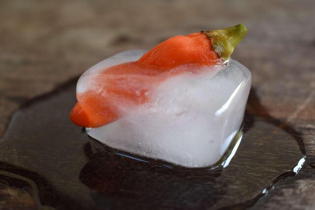 Damit nix anbrennt: TCG-Food-Cool | Foto: Bild von Robert Lens auf Pixabay