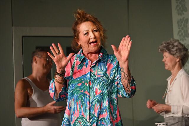 Neue Produktion des Südstädter Komöd'chens: Hausfreunde