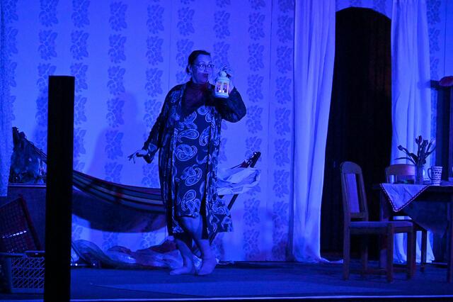 Neue Produktion des Südstädter Komöd'chens: Hausfreunde