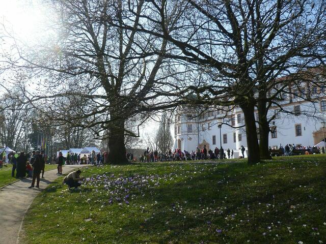 Die Sportler/innen genießen herrliches Frühlingswetter vor dem Celler Schloss.
