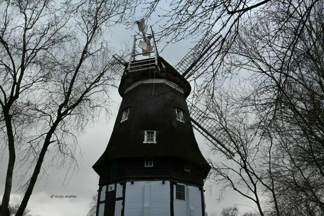Mühlenmontag (Foto: Katja Woidtke)

Windmühle in Achim  | Foto: Katja Woidtke