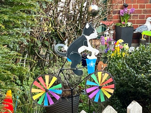 Ein Rad =&gt; für die Katz'! | Foto: B.K. in Wyk auf Föhr