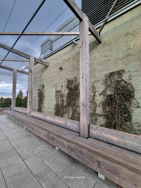 Moin Hamburg (Foto: Katja Woidtke)

Treppauf, treppab zur phantastischen Aussicht vom "Grünen Bunker" - lauschiges Plätzchen auf dem Dachgarten | Foto: Katja Woidtke