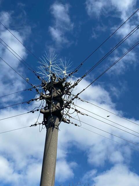 Foto: Anton Burnhauser