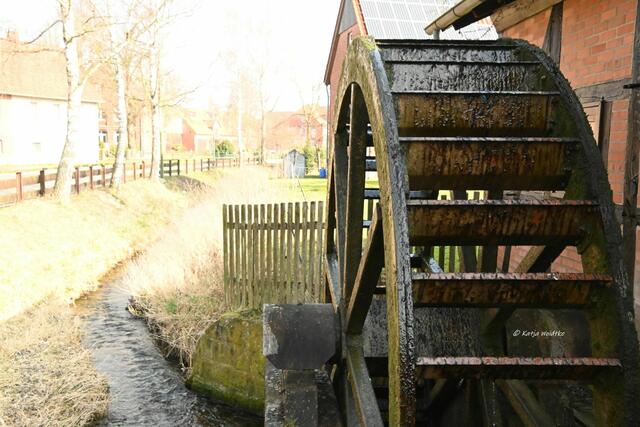 Mühlenmontag (Foto: Katja Woidtke)

Wassermühle in Heßlingen | Foto: Katja Woidtke