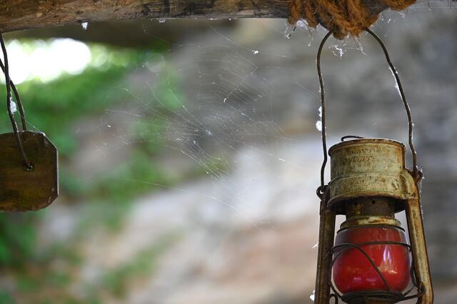 Spinnweben sind entfernt: Die Boote starten wieder zum Rundkurs durch Afrikas Tierwelt