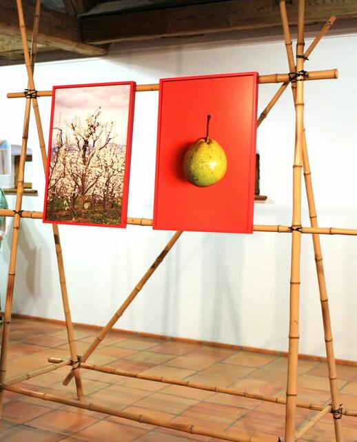 2017 erhielt Maximilian Prüfer den Kunstpreis des Bezirks Schwaben als Reisestipendium für seine Recherche zur manuellen Bestäubung von Obstbaumblüten in der Nähe der Stadt Chengdu/China. | Foto: Barbara Magg