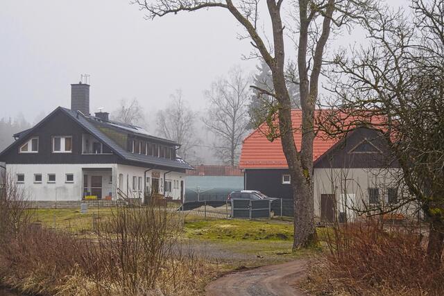 Birkenmoorsiedlung bei Nebel