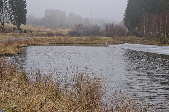 einer der 4 Teiche im Teichtal, besonders in der warmen Jahreszeit ist das rötlich - bräunliches Moorwasser gut sichtbar