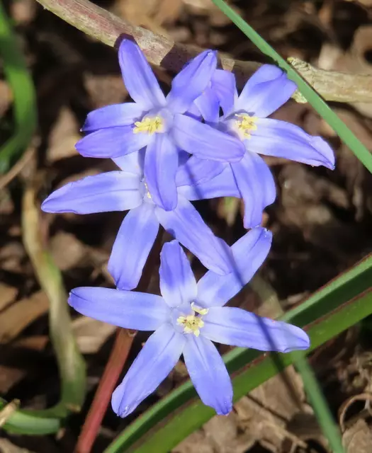 Ausschnitt aus dem Original-Foto. | Foto: M. A.