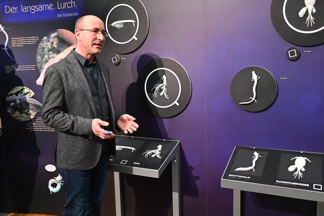 Hier wird die Tierwelt im Untergrund erläutert