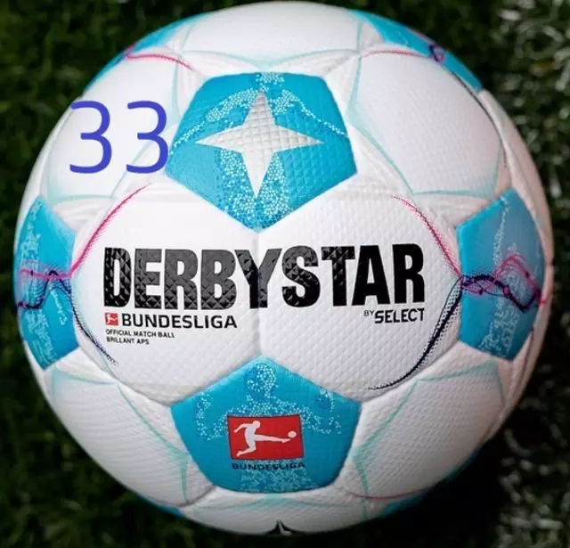 33. Spieltag der Bundesligasaison 2024/25.