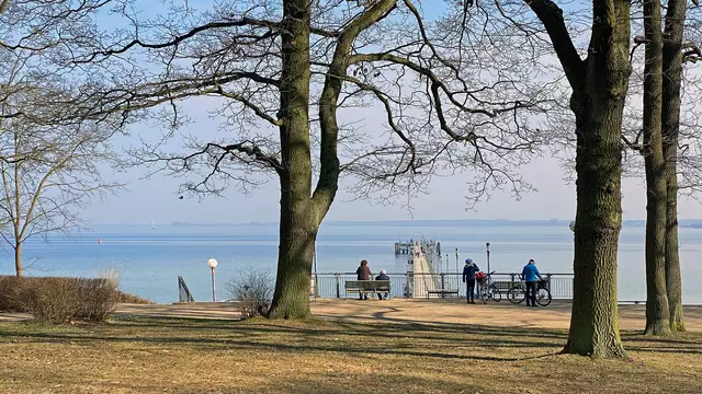 Im Küstenwald vor der Seebrücke. Foto: Helmut Kuzina