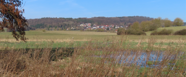 Blick vom Wegesrand (das Stiorchennest ist auf einer Wiese hinter mir) nach Lengefeld (Korbacher Ortsteil). 
Wenn man genau hinsieht, kann man den einen Storch auf der Wiese sehen. | Foto: M. A.