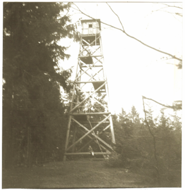 Feuermeldeturm auf dem Bubenberg 608 m  NN.
Der Turm hatte eine Höhe von ca.34 Meter.
Aufgebaut wurde er von der Zimmerei Hesselbach in Hatzfeld ca. 1943/1945 Er war rund um die Uhr
besetzt und über Telefon mit der Oberförsterei verbunden.
Bild von Heinz Peter (verstorben)