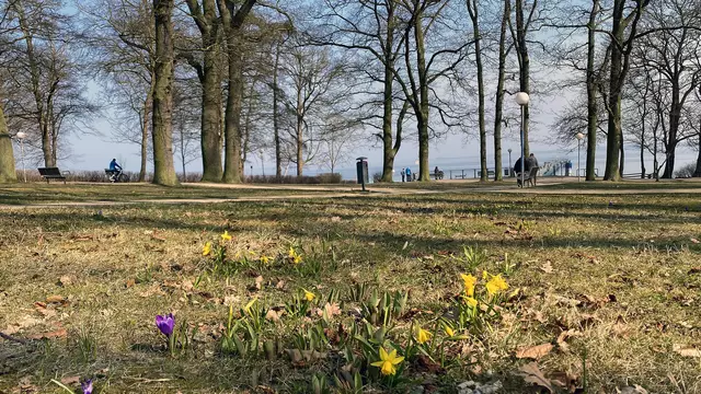 Der Küstenwald, das „Wendorfer Wäldchen“, liegt zwischen dem namensgebenden Stadtteil Wismar-Wendorf und der Ostseebucht. Foto: Helmut Kuzina