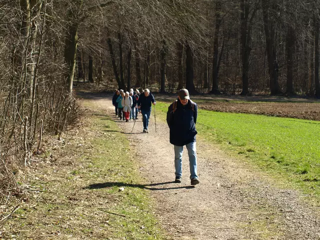 Auf dem Rückweg | Foto: Copyright TSV-Egestorf e.V.