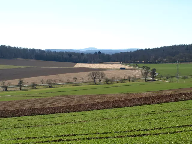 Hohenstein am Horizont? | Foto: Copyright TSV-Egestorf e.V.