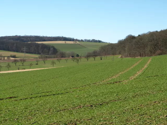 Blick ins Tal der Krumme Beeke | Foto: Copyright TSV-Egestorf e.V.