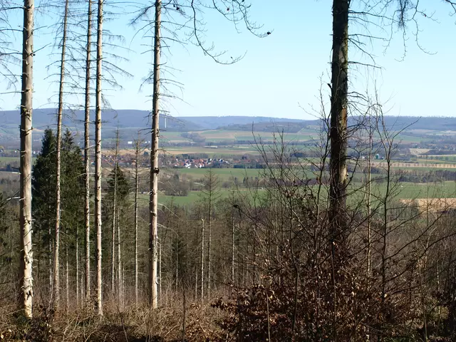 Wo ist der Deister? | Foto: Copyright TSV-Egestorf e.V.