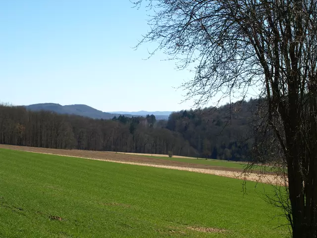 Blick auf den Lengeberg? | Foto: Copyright TSV-Egestorf e.V.