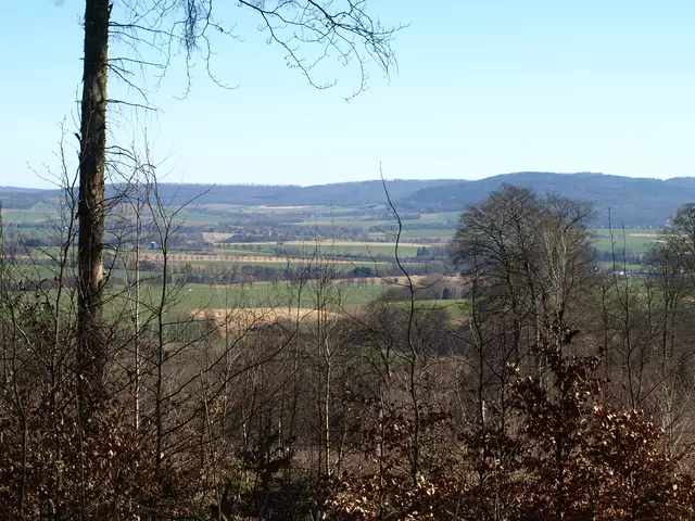 Hier nicht zu sehen ... | Foto: Copyright TSV-Egestorf e.V.