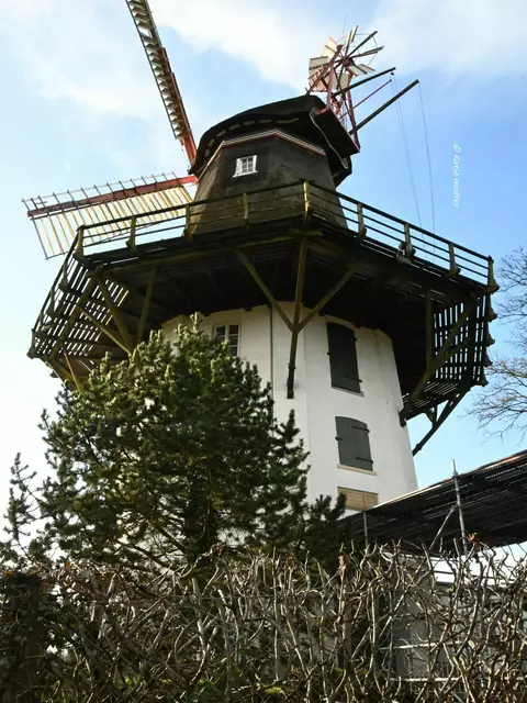 Mühlenmontag (Foto: Katja Woidtke)

Windmühle Oberneuland in Bremen | Foto: Katja Woidtke