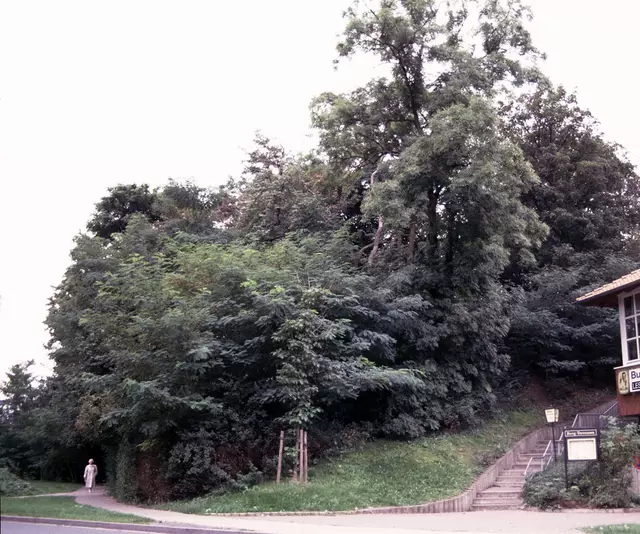 Der Rest vom Burghügel (noch analog, aus meinem Diaarchiv)