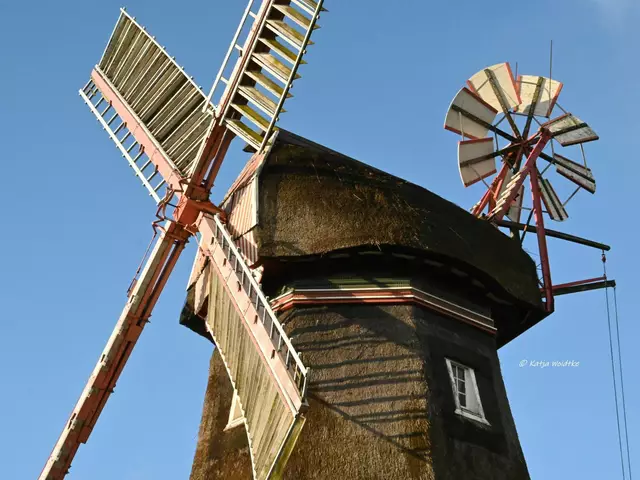 Mühlenmontag (Foto: Katja Woidtke)

Mühle Oberneuland - Mühlenkappe mit Windrose und Jalousieflügeln | Foto: Katja Woidtke