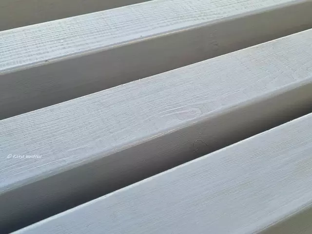 Garten im Jahreslauf (Foto: Katja Woidtke)

Die Zaunpfosten sind gestrichen und warten auf ihren Einbau | Foto: Katja Woidtke