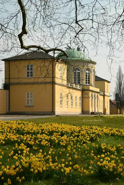 Berggarten im Jahreslauf (Foto: Katja Woidtke)

Ein Traum in gelb - Narzissen blühen vor dem Bibliothekspavillon | Foto: Katja Woidtke