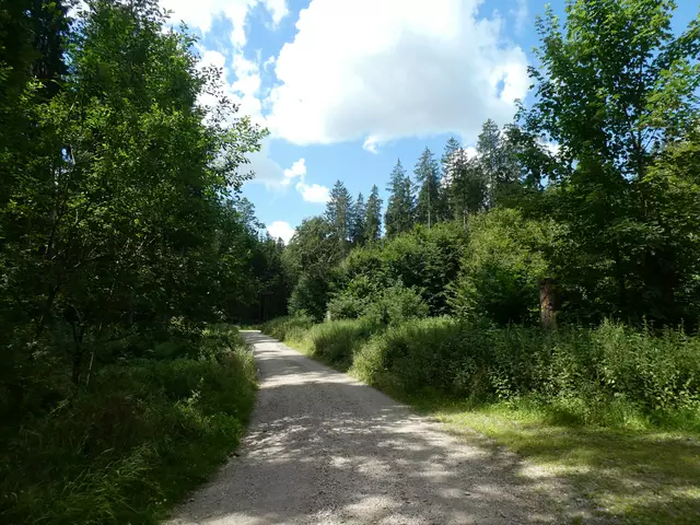 Wanderweg | Foto: Dr. Hubert Raab