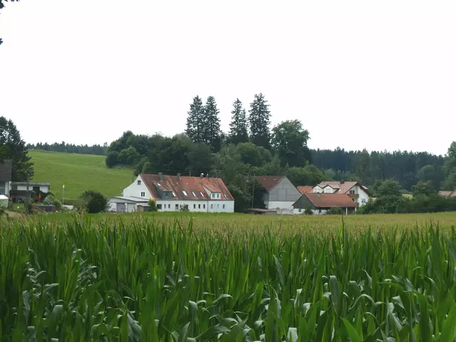 Blick auf Miedering | Foto: Dr. Hubert Raab