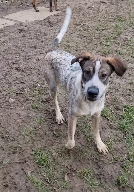 Eddi | Foto: Sabine Pollok